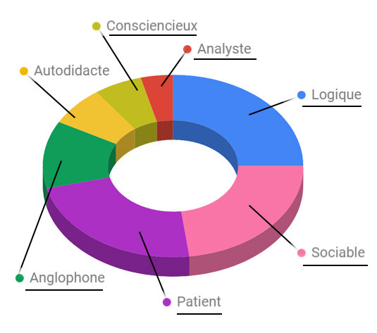 Les compétences du web-développeur en agence