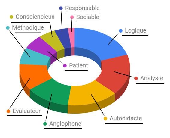 Les compétence du web-développeur indépendant