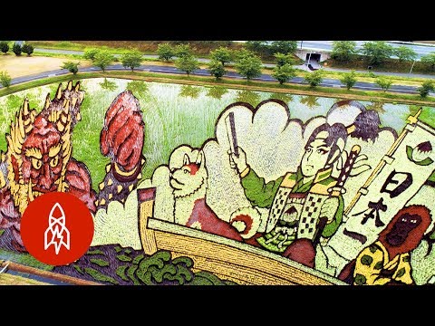 Des champs de riz dessinent des images au Japon Des champs de riz dessinent des images au Japon