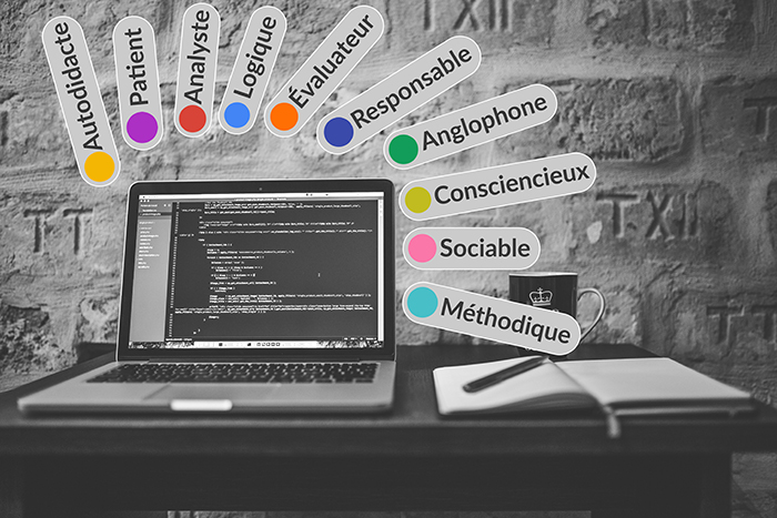 Les compétences du Web-développeur Les compétences du Web-développeur