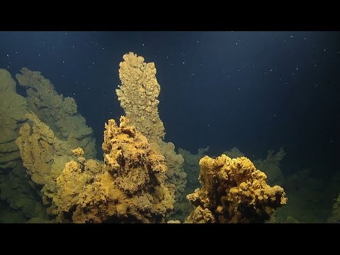 Gros plan sur une cheminée volcanique par Nautilus Live Gros plan sur une cheminée volcanique par Nautilus Live