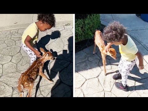 La famille Landry reçoit un faon