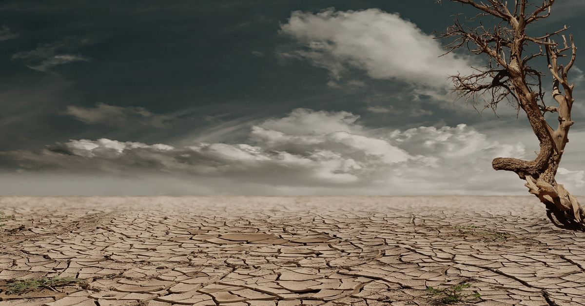 干ばつと極端な暑さでひび割れた地面。2026年夏のフランスの熱波を象徴している