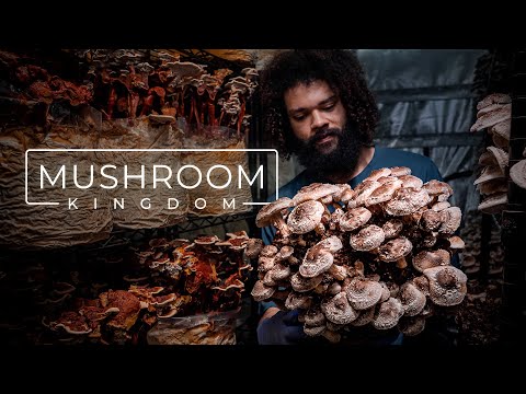 Cultivateur de champignons Cultivateur de champignons