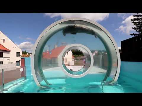 Joint circulant aquatique Joint circulant aquatique