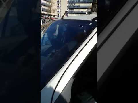 Le mystère de la voiture transpercée par un arbre à Nante Le mystère de la voiture transpercée par un arbre à Nante