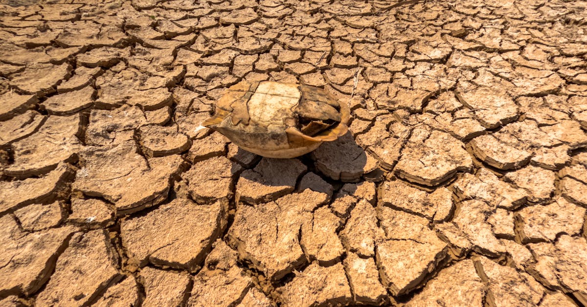 people cooling off during the historic May 2026 heatwave in France